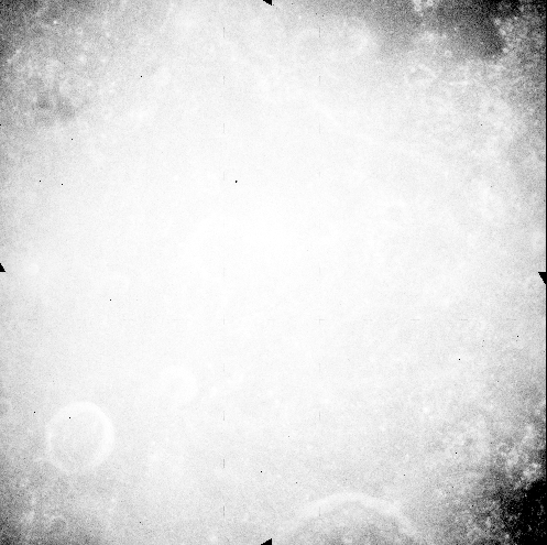 Input image.