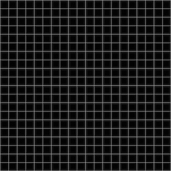 Input image