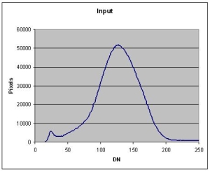 Input histogram