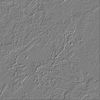 The image after the filter