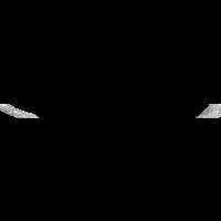 Output of cam2map run with LONSEAM=CONTINUE