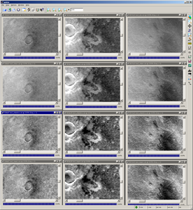 Input and output images